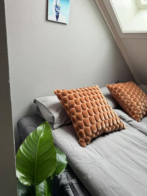 Urban Loftleilighet Τρόντχαϊμ Εξωτερικό φωτογραφία